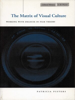 cover image of The Matrix of Visual Culture